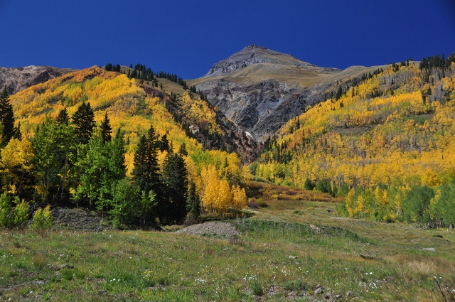 jeep tour to Brown Mountain